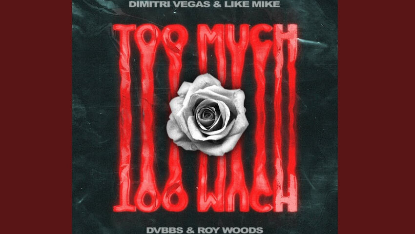 Neue Single "Too Much" von Dimtri Vegas & Like Mike feat. DVBBS & Roy Woods