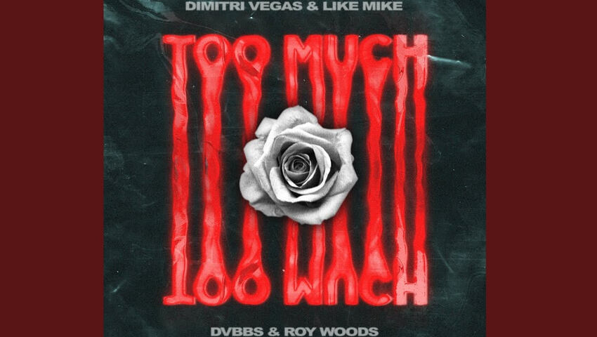Neue Single "Too Much" von Dimtri Vegas & Like Mike feat. DVBBS & Roy Woods