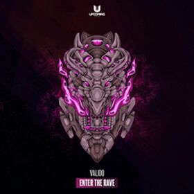 Enter The Rave