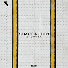 Simulation