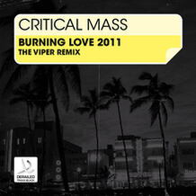 Burning Love 2011 (The Viper Remix)