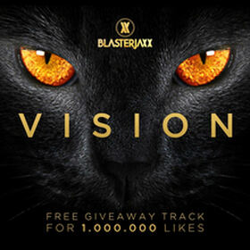 Vision
