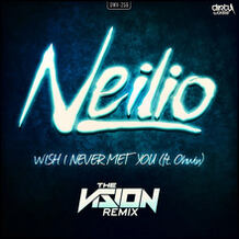Wish I Never Meet You (The Vision Remix)