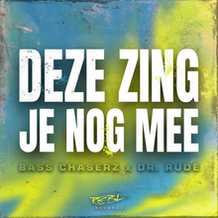 Deze Zing Je Nog Mee