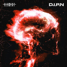 D.I.P.N
