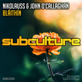 Bláithín