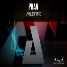 Wildfire