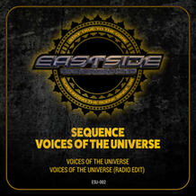 Voice Of The Universe
